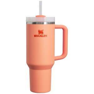 Stanley Adventure Quencher H2.0 Travel Tumbler | 40 oz Nectarine | TY7208693