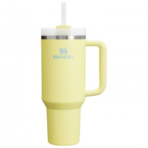 Stanley Adventure Quencher H2.0 Travel Tumbler | 40 oz Pomelo | MG1603872