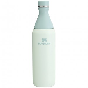 Stanley All Day Slim Bottle | 20 OZ Mist | JP0936571