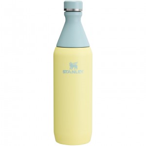 Stanley All Day Slim Bottle | 20 OZ Pomelo | BQ3129658