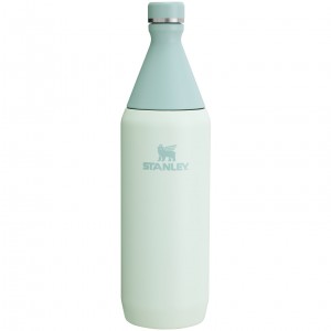 Stanley All Day Slim Bottle | 34 OZ Mist | VL4523876