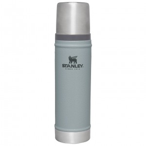 Stanley Classic Legendary Vacuum Insulated Water Bottle | 20 oz Hammertone Silver | ME2154378