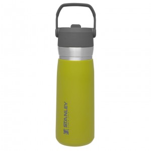 Stanley Go Flip Straw Water Bottle | 22 OZ | Insulated Bottle Aloe | ML3745609