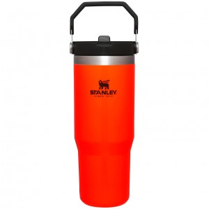 Stanley Hunt + Fish IceFlow™ Flip Straw Tumbler | 30 OZ Blaze Orange | HY1346908