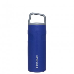 Stanley IceFlow™ Bottle with Cap and Carry+ Lid | 16 OZ Lapis Glimmer | DX9405632