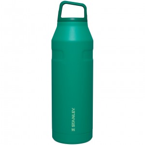 Stanley IceFlow™ Bottle with Cap and Carry+ Lid | 50 OZ Alpine | IF1602374