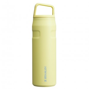 Stanley IceFlow™ Bottle with Cap and Carry+ Lid | 24 OZ Pomelo | WJ9584023