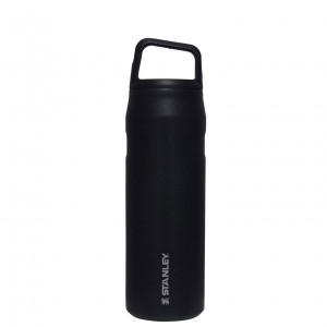 Stanley IceFlow™ Bottle with Cap and Carry+ Lid | 24 OZ Black Glimmer | XG9013482