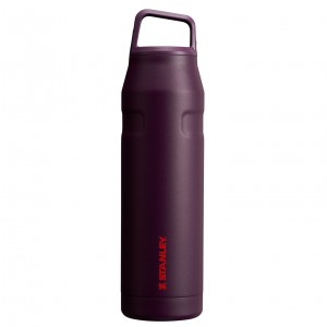 Stanley IceFlow™ Bottle with Cap and Carry+ Lid | 36 OZ Plum | LO5867493