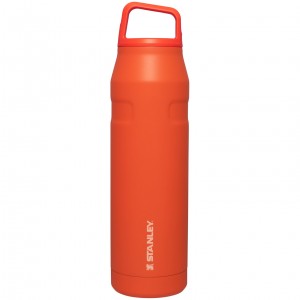 Stanley IceFlow™ Bottle with Cap and Carry+ Lid | 36 OZ Tigerlily | XJ2534910