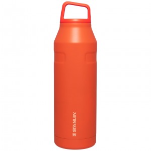 Stanley IceFlow™ Bottle with Cap and Carry+ Lid | 50 OZ Tigerlily | MS5940362