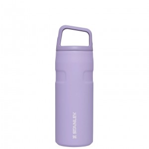 Stanley IceFlow™ Bottle with Cap and Carry+ Lid | 16 OZ Lavender | OK0296745