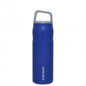 Stanley IceFlow™ Bottle with Cap and Carry+ Lid | 24 OZ Lapis Glimmer | ED6579134