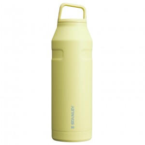 Stanley IceFlow™ Bottle with Cap and Carry+ Lid | 50 OZ Pomelo | UO1340285