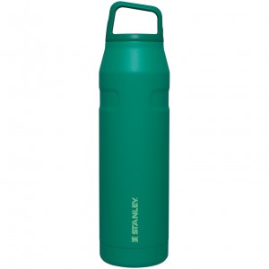 Stanley IceFlow™ Bottle with Cap and Carry+ Lid | 36 OZ Alpine | FM1708356