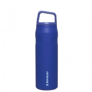 Stanley IceFlow™ Bottle with Cap and Carry+ Lid | 24 OZ Lapis | XO9647830