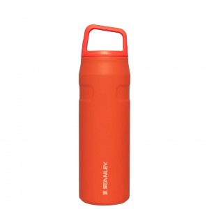 Stanley IceFlow™ Bottle with Cap and Carry+ Lid | 24 OZ Tigerlily | XK4739280