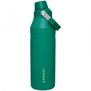 Stanley IceFlow™ Bottle with Fast Flow Lid | 50 OZ Alpine | AC4738012