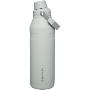 Stanley IceFlow™ Bottle with Fast Flow Lid | 50 OZ Fog Glimmer | XI1905437