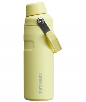 Stanley IceFlow™ Bottle with Fast Flow Lid | 16 OZ Pomelo | XQ5032741