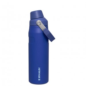 Stanley IceFlow Insulated Bottle with Fast Flow Lid | 24 OZ Lapis | EC8647025