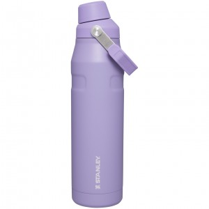 Stanley IceFlow Insulated Bottle with Fast Flow Lid | 36 OZ Lavender | NX7890463