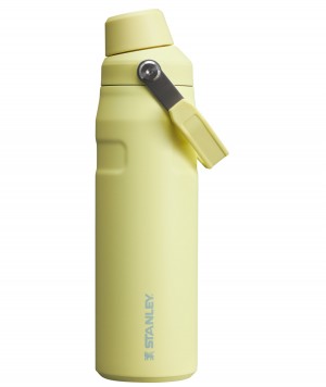 Stanley IceFlow Insulated Bottle with Fast Flow Lid | 24 OZ Pomelo | US4138069