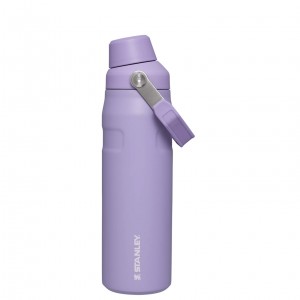 Stanley IceFlow Insulated Bottle with Fast Flow Lid | 24 OZ Lavender | LG8465207