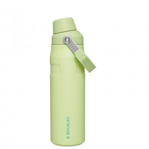 Stanley IceFlow Insulated Bottle with Fast Flow Lid | 24 OZ Citron | TW7190852