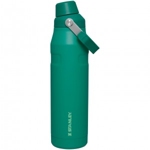 Stanley IceFlow Insulated Bottle with Fast Flow Lid | 36 OZ Alpine | GE6187253