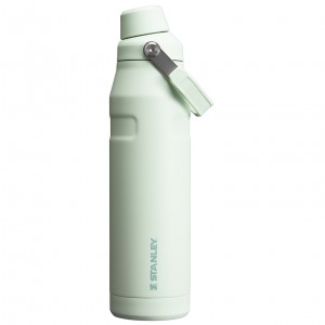 Stanley IceFlow Insulated Bottle with Fast Flow Lid | 36 OZ Mist | SL2471385