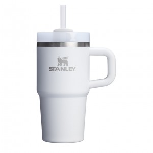 Stanley Quencher H2.0 Travel Tumbler With Handle & Straw | 20 OZ Frost | DN5726340