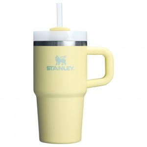 Stanley Quencher H2.0 Travel Tumbler With Handle & Straw | 20 OZ Pomelo | WN7890315