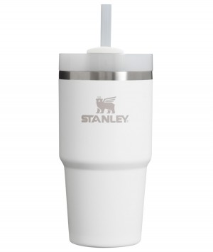 Stanley Quencher H2.0 Travel Tumbler | 14 OZ Frost | CU4895672