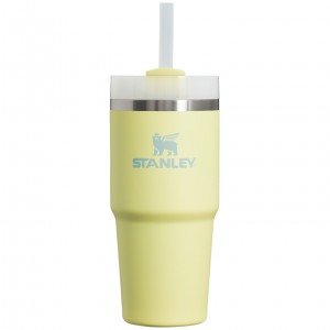 Stanley Quencher H2.0 Travel Tumbler | 14 OZ Pomelo | CV5721096