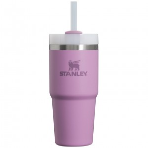 Stanley Quencher H2.0 Travel Tumbler | 14 OZ Lilac | LZ9023564