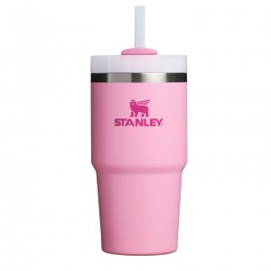 Stanley Quencher H2.0 Travel Tumbler | 20 OZ Peony | IK2014983