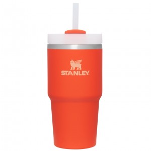 Stanley Quencher H2.0 Travel Tumbler | 20 OZ Tigerlily | EZ9147308