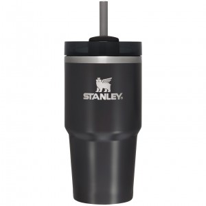 Stanley Quencher H2.0 Travel Tumbler | 20 OZ Black Glow | NB7263105