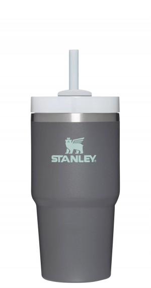 Stanley Quencher H2.0 Travel Tumbler | 20 OZ Charcoal | HN5284791