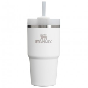 Stanley Quencher H2.0 Travel Tumbler | 20 OZ Frost | KW2356081