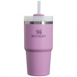 Stanley Quencher H2.0 Travel Tumbler | 20 OZ Lilac | RU3402781