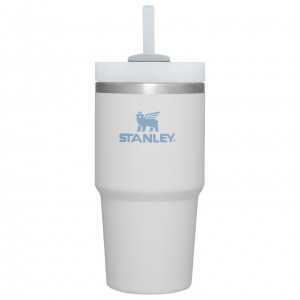 Stanley Quencher H2.0 Travel Tumbler | 20 OZ Fog | GM8130657