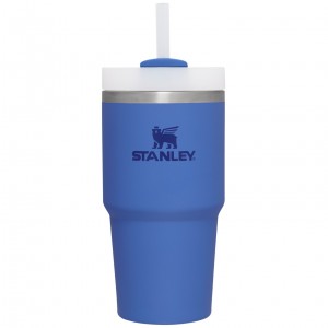 Stanley Quencher H2.0 Travel Tumbler | 20 OZ Iris | YF8391526