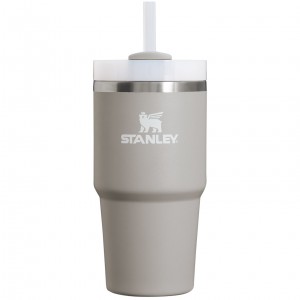 Stanley Quencher H2.0 Travel Tumbler | 20 OZ Ash | WK2159387