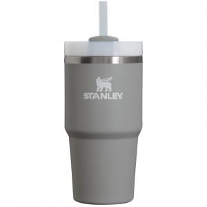 Stanley Quencher H2.0 Travel Tumbler | 20 OZ Stone | AC4379018