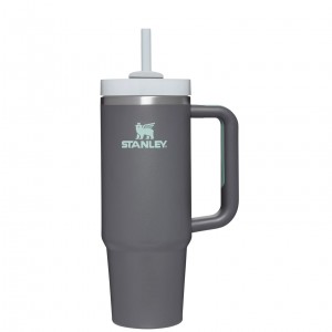 Stanley Quencher H2.0 Travel Tumbler | 30 OZ Charcoal | NC5938462