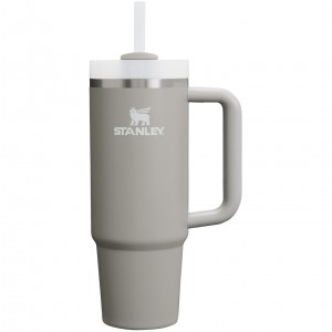 Stanley Quencher H2.0 Travel Tumbler | 30 OZ Ash | UM8594670