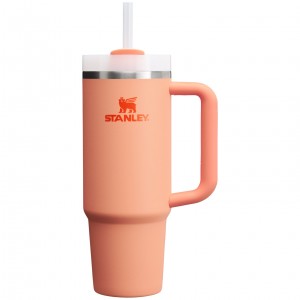 Stanley Quencher H2.0 Travel Tumbler | 30 OZ Nectarine | HG6735284