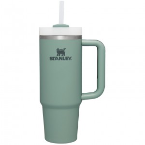 Stanley Quencher H2.0 Travel Tumbler | Soft Matte | 30 OZ Shale | JH7432519